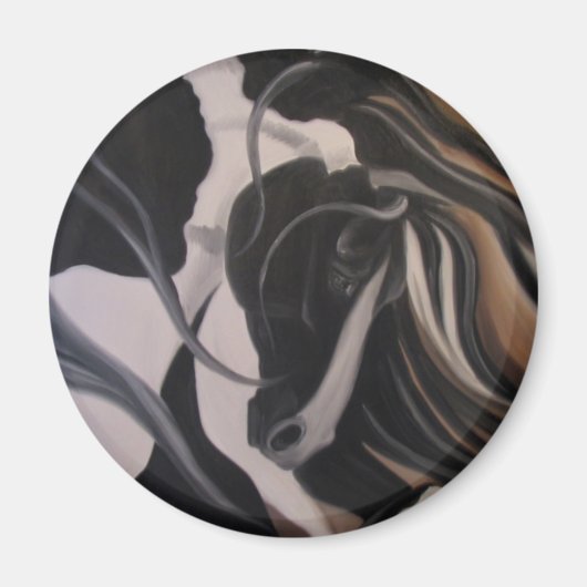 Gypsy Vanner I Magneet (Voorkant)