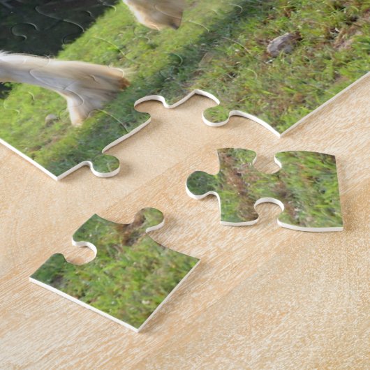 Gypsy Vanner Legpuzzel (Zijkant)