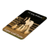Gypsy Vanner Magnet Magneet (Linkerzijde)