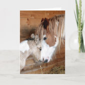 Gypsy Vanner Mare en Foal Moederdag Kaart (Voorkant)
