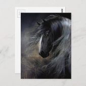 Gypsy Vanner Portret Briefkaart (Voorkant / Achterkant)