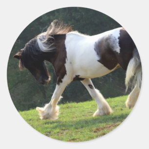 Gypsy Vanner Ronde Sticker