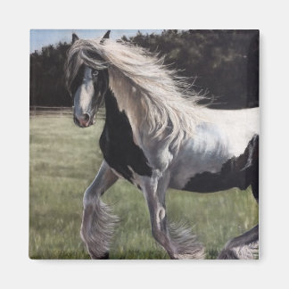 Gypsy vanner springt in het veld magneet