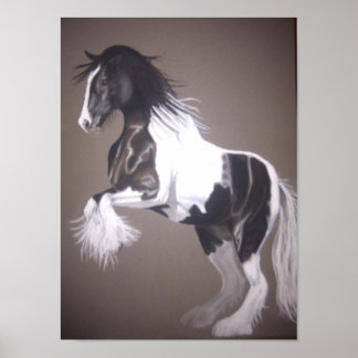 Gypsy vanner stallion (standaard) poster
