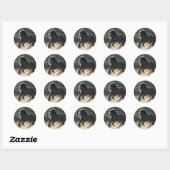 Gypsy Vanner stickers (Vel)