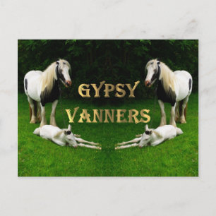 Gypsy Vanners Briefkaart