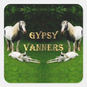 Gypsy Vanners Square Sticker