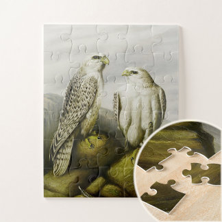 Gyr valken op een rotsachtige richel, Vogelillustr Legpuzzel