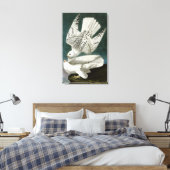 Gyrfalcon door John Audubon Canvas Afdruk (Insitu (Slaapkamer))