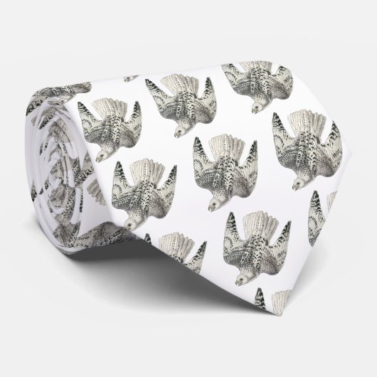 Gyrfalcon Falcon Plongée Cravate d'art Vintage (Roulé)