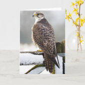 Gyrfalcon Kaart (Gele Bloem)