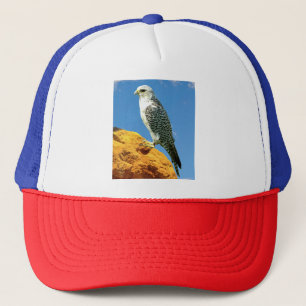 Gyrfalcon op een rots neergestreken trucker pet