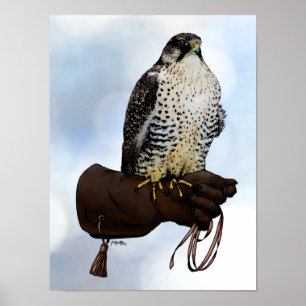 Gyrfalcon op Glove Poster