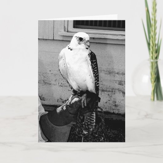 Gyrfalcon rustend op handler's handlet notecard kaart (Voorkant)