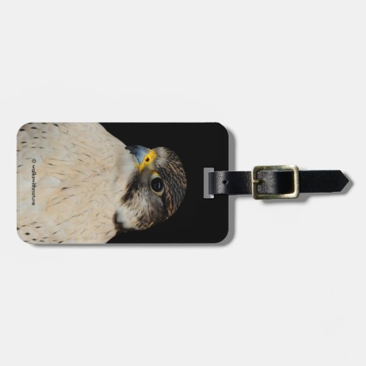 Gyrfalcon Saker Hybrid Falcon Bagagelabel (Voorkant horizontaal)