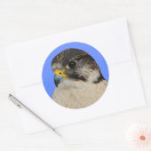Gyrfalcon Saker Hybrid Falcon Ronde Sticker (Envelop)