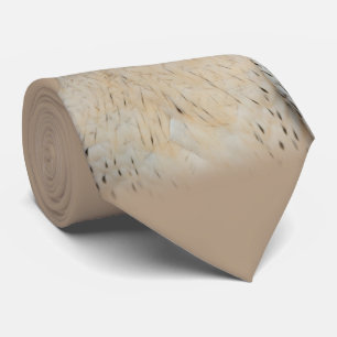 Gyrfalcon Saker Hybrid Falcon Stropdas