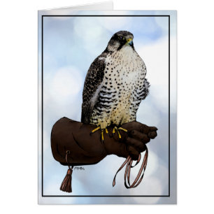 Gyrfalcon sur Glove
