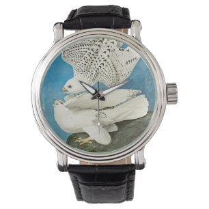 Gyrfalcons, ook bekend als Gerfalcons door John Ja Horloge