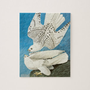 Gyrfalcons, ook bekend als Gerfalcons, van John Ja Legpuzzel
