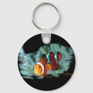 H2Oasis Clownvis Sleutelhanger