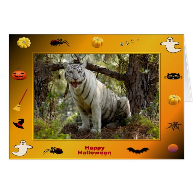 h-218-zabu (Devant horizontal)