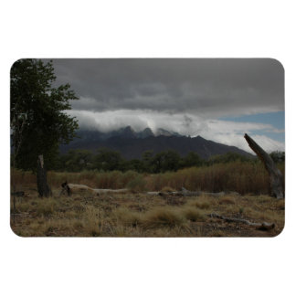 H.A.S. Arts magneet, afbeelding Bosque Magneet