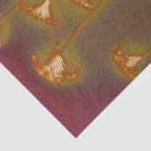 H.A.S. Kunststofpapier, hoest afbeelding Tissuepapier (Detail)