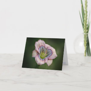 H. Carte de note merveilleuse de bleus