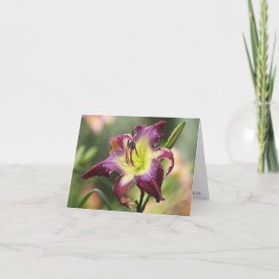 H. Carte de note violette de Sabrewing