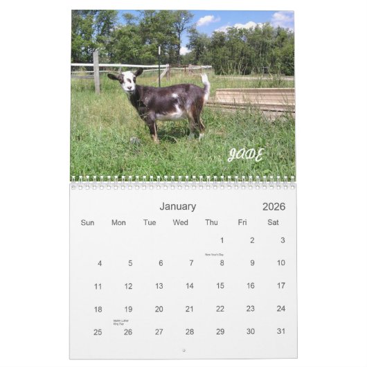 H.H. Calendrier des chèvres 2010 de jardin (Jan 2026)