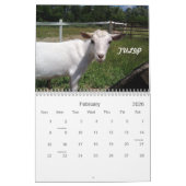 H.H. Garden Goats 2010 Agenda Kalender (Feb 2026)