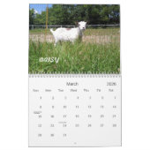 H.H. Garden Goats 2010 Agenda Kalender (Mar 2026)