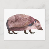 H. Hérisson / carte postale (Devant)