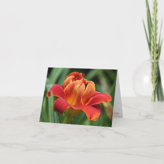 H. lagen van de Kaart van de Nota van de Liefde