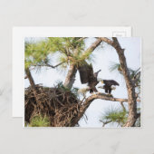 H & M-Briefkaart Briefkaart (Voorkant / Achterkant)