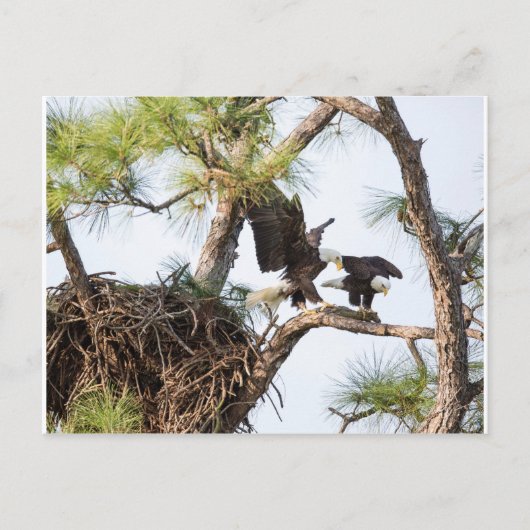 H & M-Briefkaart Briefkaart (Voorkant)