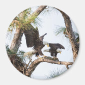 H & M Magneet (Voorkant)