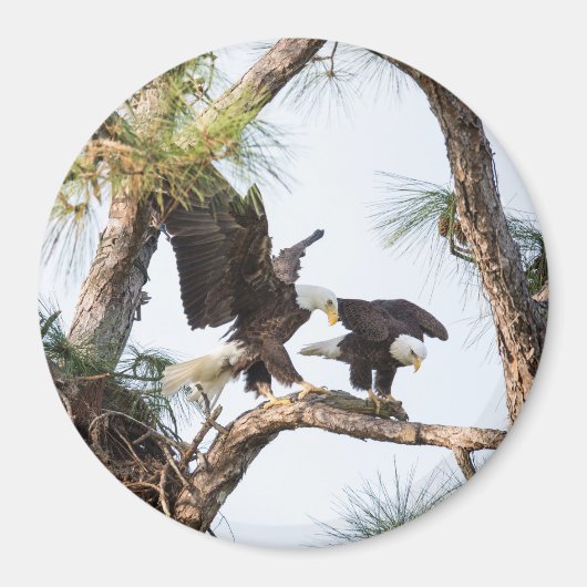 H & M Magneet (Voorkant)