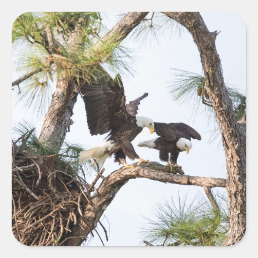 H & M-Stickers Vierkante Sticker (Voorkant)