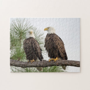 H&O Puzzle Legpuzzel