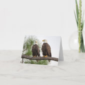 H&O stationnaire (Devant)