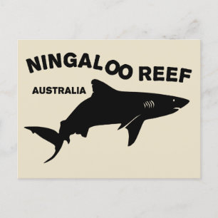 Haai duiken in Australië, Ningaloo Reef Briefkaart