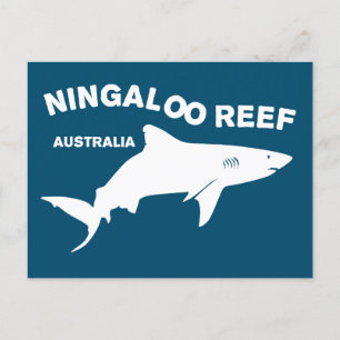 Haai duiken in Australië, Ningaloo Reef Briefkaart