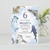 Haai, kaart (Staand voorkant)