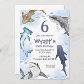 Haai, kaart (Voorkant / Achterkant)