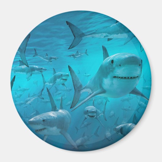 haai magneet (Voorkant)