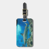 haai met Bagagelabel van rif (Voorkant verticaal)