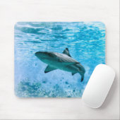 haai Mousepad Muismat (Met muis)