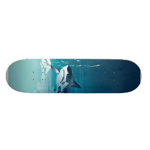haai skateboard